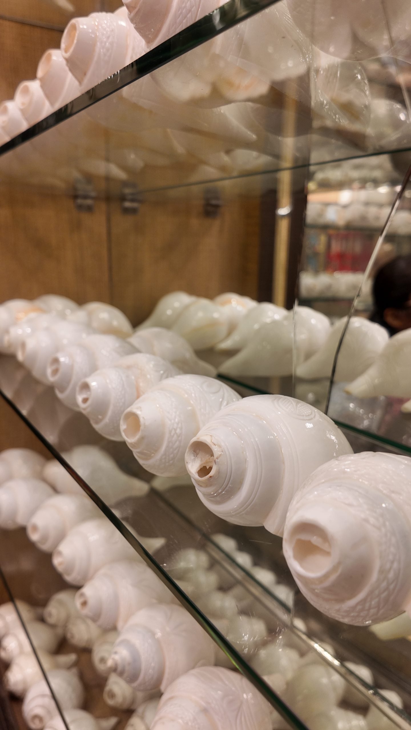 Pure Blowing Shankh – Conch Shell