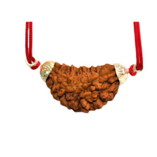 Natural 1 Mukhi Rudraksha Locket with Silver Capping