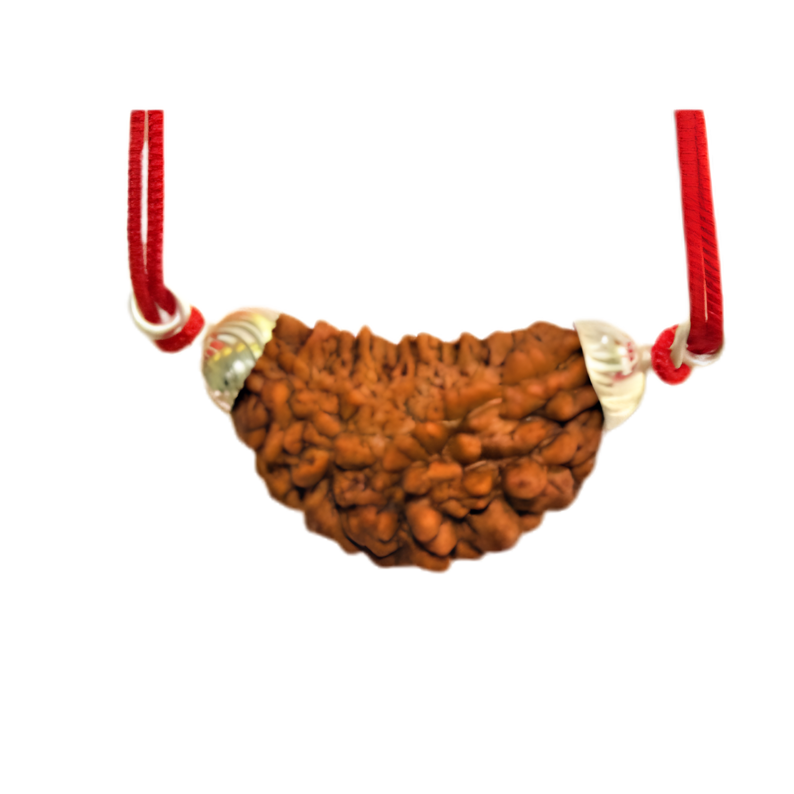 Natural 1 Mukhi Rudraksha Locket with Silver Capping